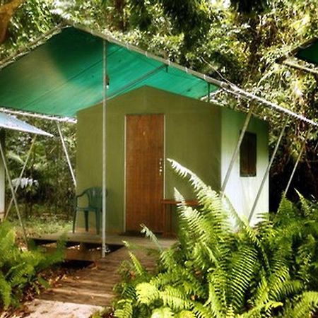 Jungle Lodge Cape Tribulation Exterior foto