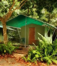Jungle Lodge Cape Tribulation Habitación foto